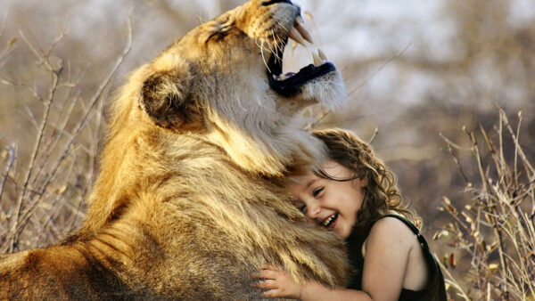 Wallpaper Lion, Cute, Girl, With