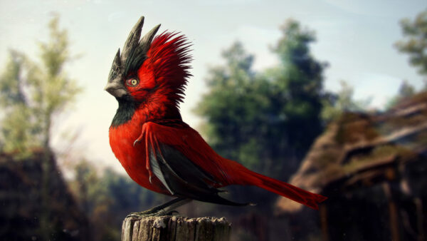 Wallpaper Animals, 5k, Desktop, Wallpaper, Bird, CGI, Pc, Images, 4k, Cool, Background