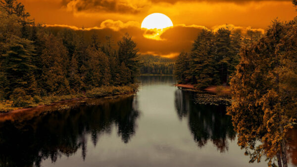 Wallpaper Sunset, Forest, During, Desktop, Lake, Between, Nature, Trees