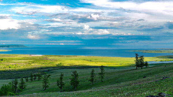 Wallpaper Desktop, Under, Grass, And, Nature, Sky, Landscape, Blue, Cloudy, Sea, Green