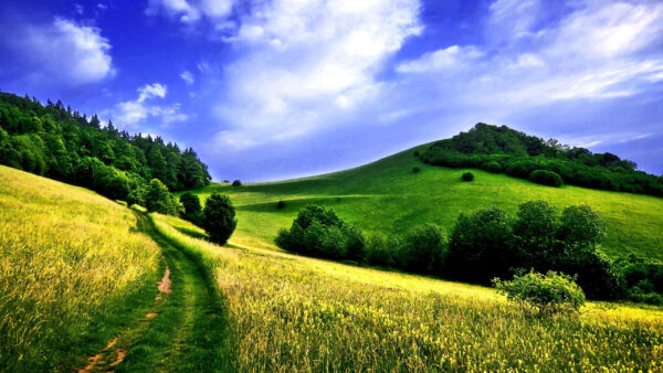 Wallpaper Pathway, Desktop, With, And, Grass, Under, Between, Nature, Blue, Cloudy, Green, Mountain, Sky, Field