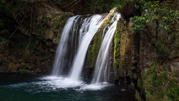 Wallpaper Covered, Mobile, Pouring, Green, Waterfall, Algae, Rocks, River, Nature, Desktop