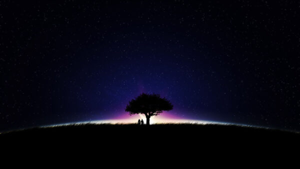 Wallpaper Under, Standing, Nighttime, Trees, Desktop, During, Couple