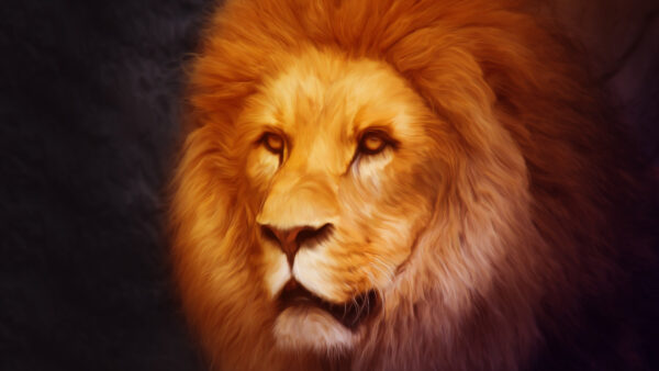 Wallpaper Portrait, Desktop, Lion, Artistic