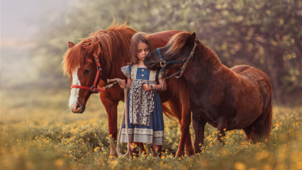 Wallpaper Grass, Dress, Horses, Wearing, Standing, Cute, Green, Little, Blue, Girl, Between