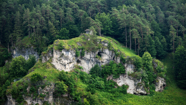 Wallpaper Mountains, Nature, Desktop, Trees, Plants, Background, Mobile, Forest, Rock, White, Green, Bushes