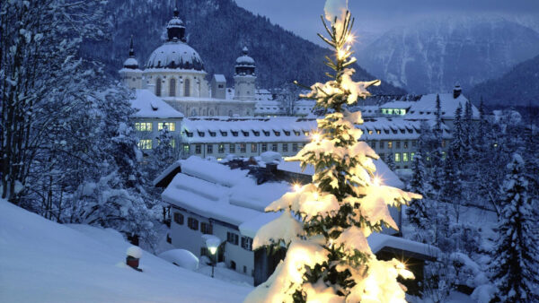 Wallpaper Tree, Mountain, And, Christmas, Frost, Background, Covered, Buildings, Snow, Lights, With