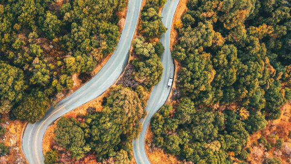 Wallpaper Green, Trees, View, Forest, Nature, Covered, Aerial, Road, Between