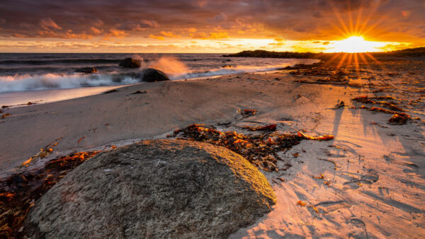 Wallpaper Desktop, Waves, Stones, Dry, Sand, Ocean, Leaves, Mobile, Nature, Beach, Sunset, During