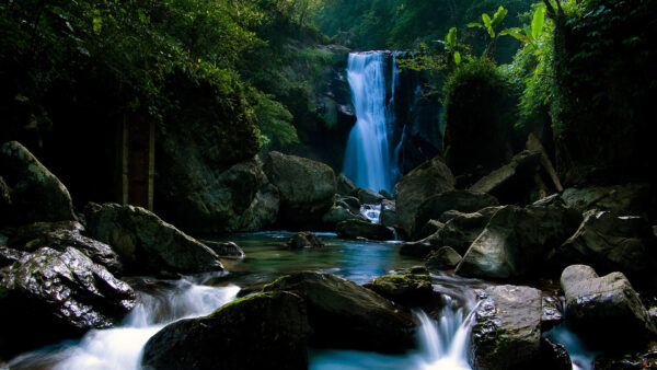 Wallpaper River, Surrounded, View, Pouring, Waterfall, Rocks, Landscape, Nature, Forest