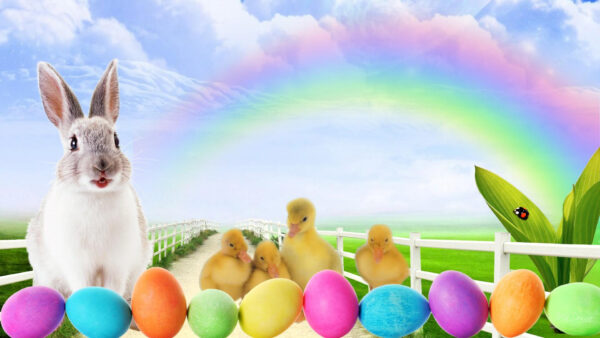 Wallpaper With, Colorful, Bunny, Eggs, Easter