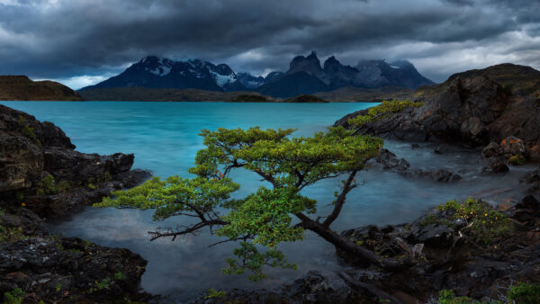 Wallpaper Black, Clouds, Green, White, Sky, Under, Rocks, Branches, Ocean, Nature, Mountains, Tree, Blue