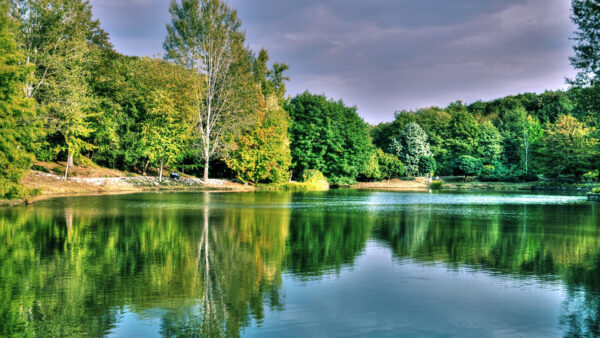 Wallpaper Lake, Sky, Blue, Water, Trees, Reflection, Green, Clouds, Fall, Surrounded, Under, Autumn, Beautiful, White, Bushes