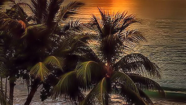 Wallpaper Trees, Sand, Sunrise, Waves, Ocean, Beach, During, Palm