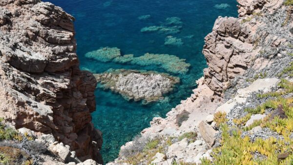 Wallpaper Coral, Daytime, Mobile, Rocks, Plants, During, Sea, Mountains, Reefs, Desktop, Nature, Stones