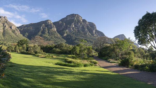 Wallpaper Green, Bushes, Mountains, Field, View, Sky, Trees, Landscape, Blue, Grass, Background, Rock, Nature
