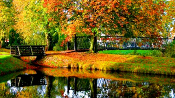 Wallpaper Landscape, Colorful, Above, Between, Reflection, Lake, Grass, And, Autumn, Bridge, Water, Green, Field, View, Trees