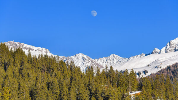 Wallpaper Spruce, Nature, Green, Mobile, Trees, Sky, Snow, View, Desktop, Forest, Landscape, Background, Blue, Moon, Capped, Mountains