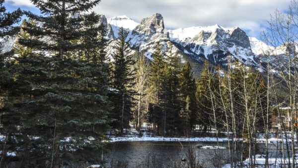 Wallpaper Background, Trees, Snow, Spruce, Blue, River, Nature, Forest, White, Sky, With, Desktop, Mountains, Mobile, Frozen, Clouds