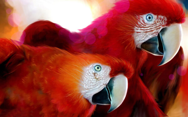 Wallpaper Widescreen, Parrots