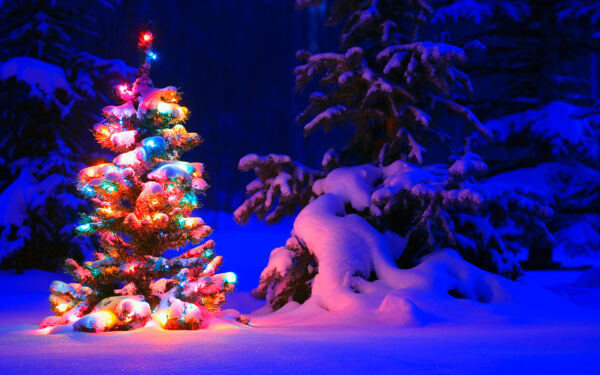 Wallpaper Christmas, Snowy, Lights, Tree