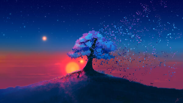 Wallpaper Tree, Mystic, Sunset