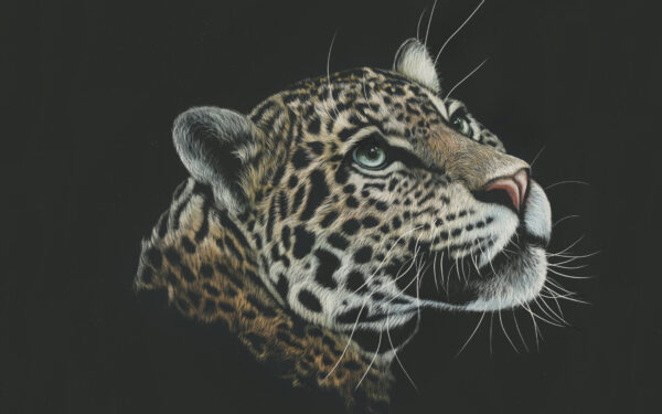 Wallpaper Artwork, Paint, Leopard