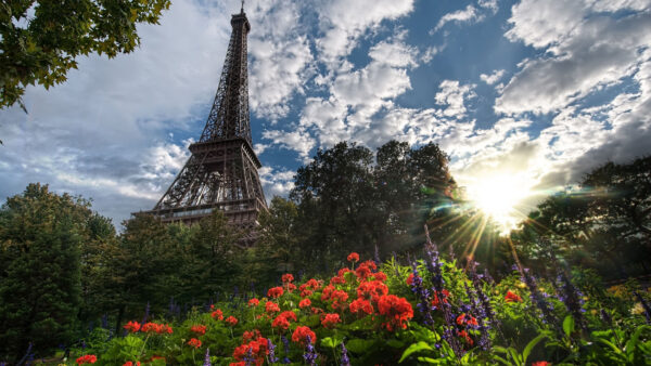 Wallpaper Travel, Desktop, With, Paris, Tower, Upward, Mobile, Trees, Eiffel, Flowers, And, Sunbeam, View, Front