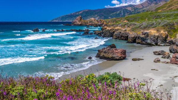 Wallpaper Flowers, Waves, Covered, Mountains, Nature, Purple, Grass, Rocks, Green, Ocean, Plants
