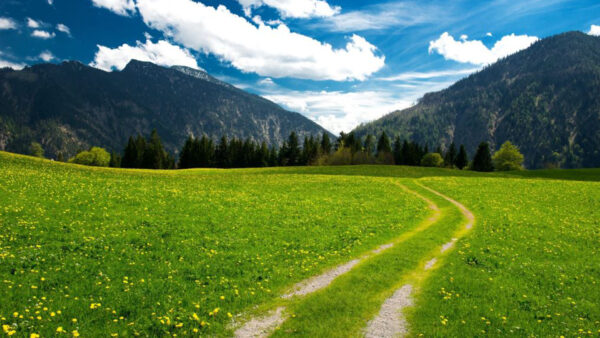 Wallpaper Mountains, Under, Covered, White, Trees, Grass, Scenery, Landscape, Flowers, View, Clouds, Green, Field, Sky, Yellow, Blue