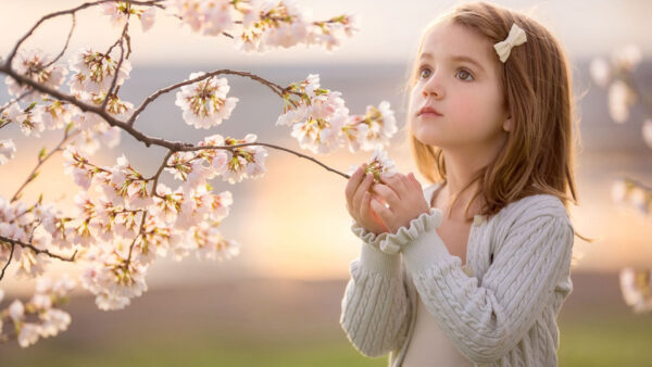 Wallpaper Wearing, Near, Girl, Flowers, Blossom, Standing, White, Pink, Cute, Dress, Little