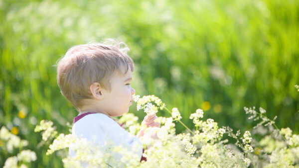 Wallpaper Cute, Mobile, Green, Blur, Standing, Plants, Near, Wearing, Background, White, Boy, Dress, Flowers, Desktop