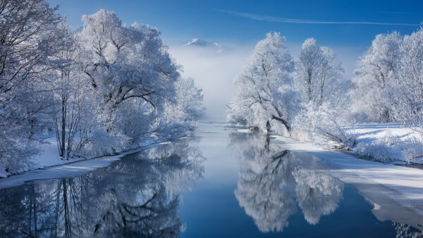 Wallpaper Trees, Snow, Reflection, Covered, With, Body, Nature, Water