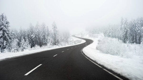 Wallpaper Forest, Covered, Desktop, Winter, Between, Road, Snow