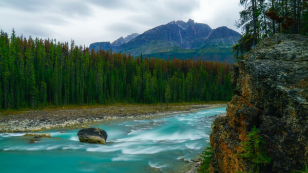 Wallpaper Mountains, Stones, Mobile, Nature, And, Green, Background, Rocks, Water, Stream, River, Between, Desktop, Trees