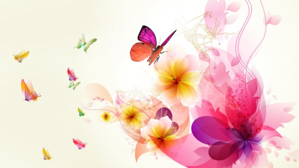 Wallpaper Colorful, Flowers, Butterflies, Abstract