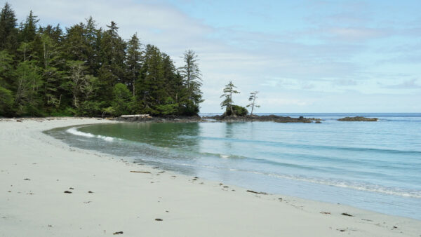 Wallpaper Green, Sand, Desktop, Sea, Beach, Blue, Mobile, Island, Forest, Sky, Nature, Trees