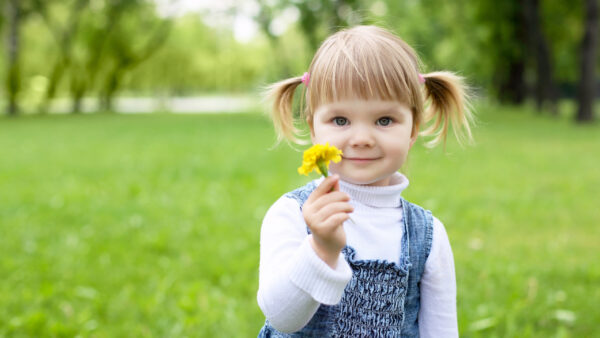 Wallpaper Wearing, Girl, Beautiful, White, Green, Yellow, Dress, Background, Cute, Flower, With, Blue, Grass, Little