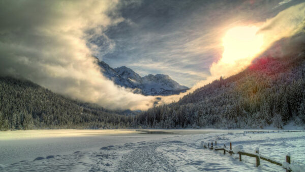 Wallpaper Frozen, Nature, White, Fog, Trees, With, Slope, Mountains, Winter, Green, Covered, Background