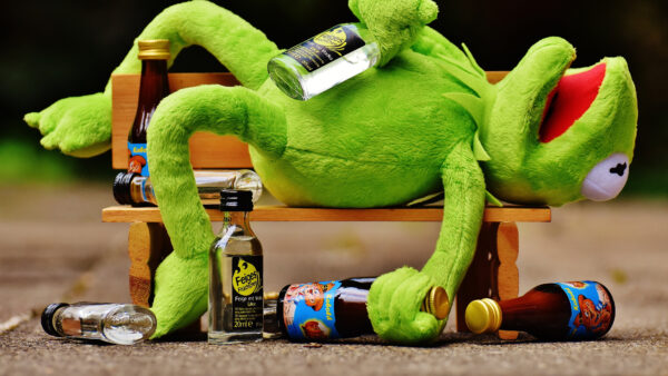 Wallpaper Bottles, Bench, Lying, Drink, Wooden, Funny, Kermit, Glass, Expression, Frog