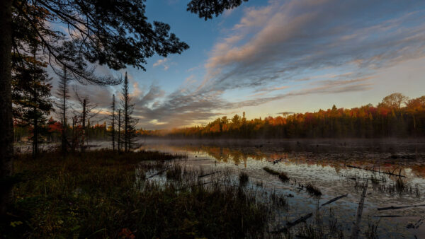 Wallpaper Nature, Sky, Under, Desktop, Trees, Mobile, Blue, Swamp, White, Clouds, Forest, Lake