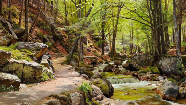 Wallpaper Trees, Nature, Forest, Stones, Green, Water, Stream, Rocks