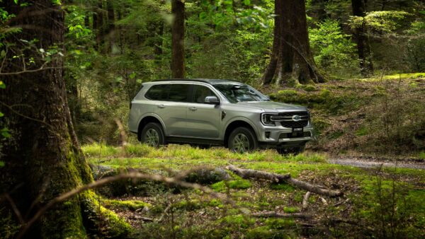 Wallpaper Trend, 2022, Cars, Ford, Everest, 4wd