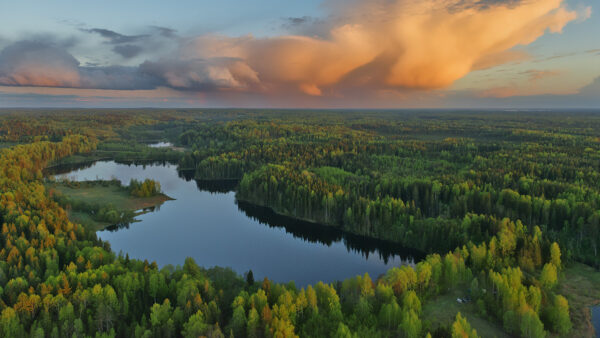 Wallpaper Sky, Yellow, Under, White, Surrounded, Blue, Bushes, Autumn, Clouds, Lake, Nature, Trees, Green