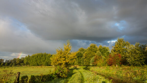 Wallpaper Sky, White, Under, Bushes, Colorful, Trees, Nature, Blue, Grass, Field, Clouds, Autumn