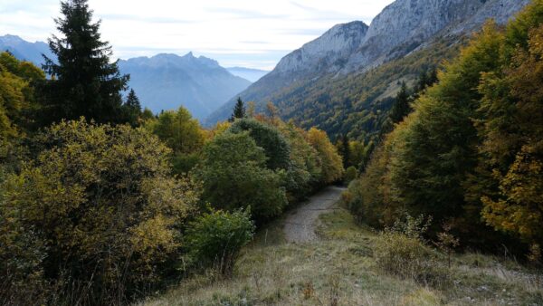 Wallpaper Dry, Nature, Slope, Sky, Grass, Trees, Mountains, Blue, Leaves, Mobile, Yellow, Bushes, Desktop, Green, Background