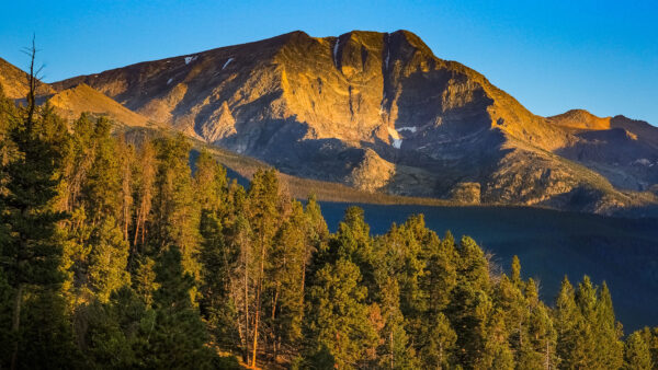 Wallpaper Rock, Trees, Nature, Landscape, Bushes, Snow, Mobile, With, Desktop, Sky, Background, Mountain, Sunlight, View, Blue