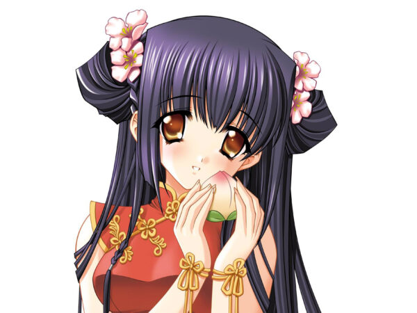 Wallpaper Girls, Anime