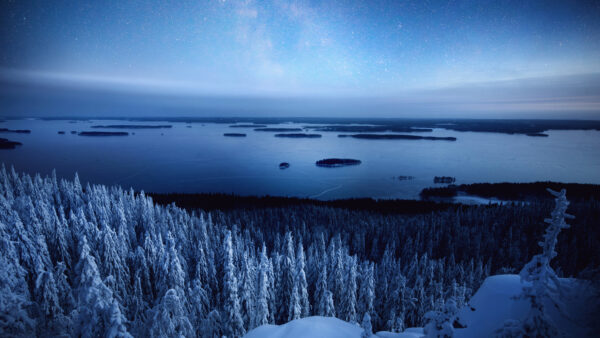 Wallpaper Sky, And, Winter, Forest