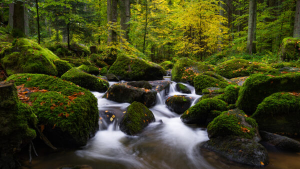 Wallpaper Nature, 1920×1080, Stream, Landscape, Wallpaper, Cool, Free, Background, Images, Download, Earth, Desktop, Pc